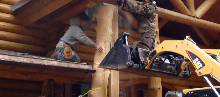 Log Home Log Replacement  Licking County, Ohio