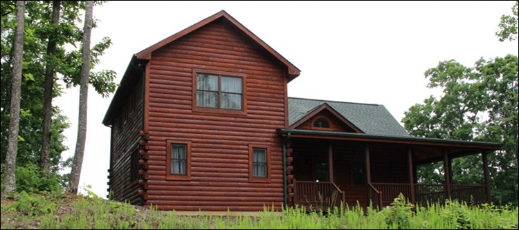 Professional Log Home Borate Application  Licking County, Ohio